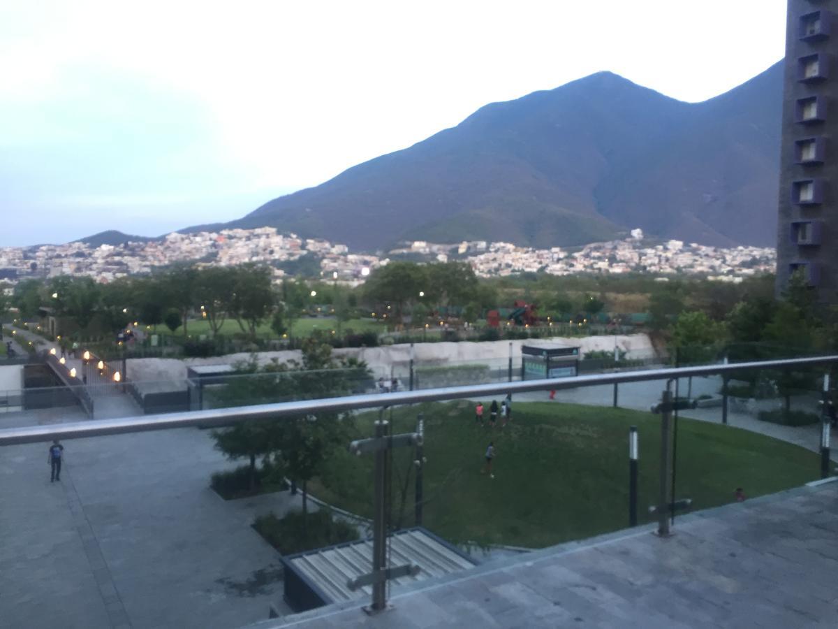 Living Apto Nuevo Sur 313 Monterrey