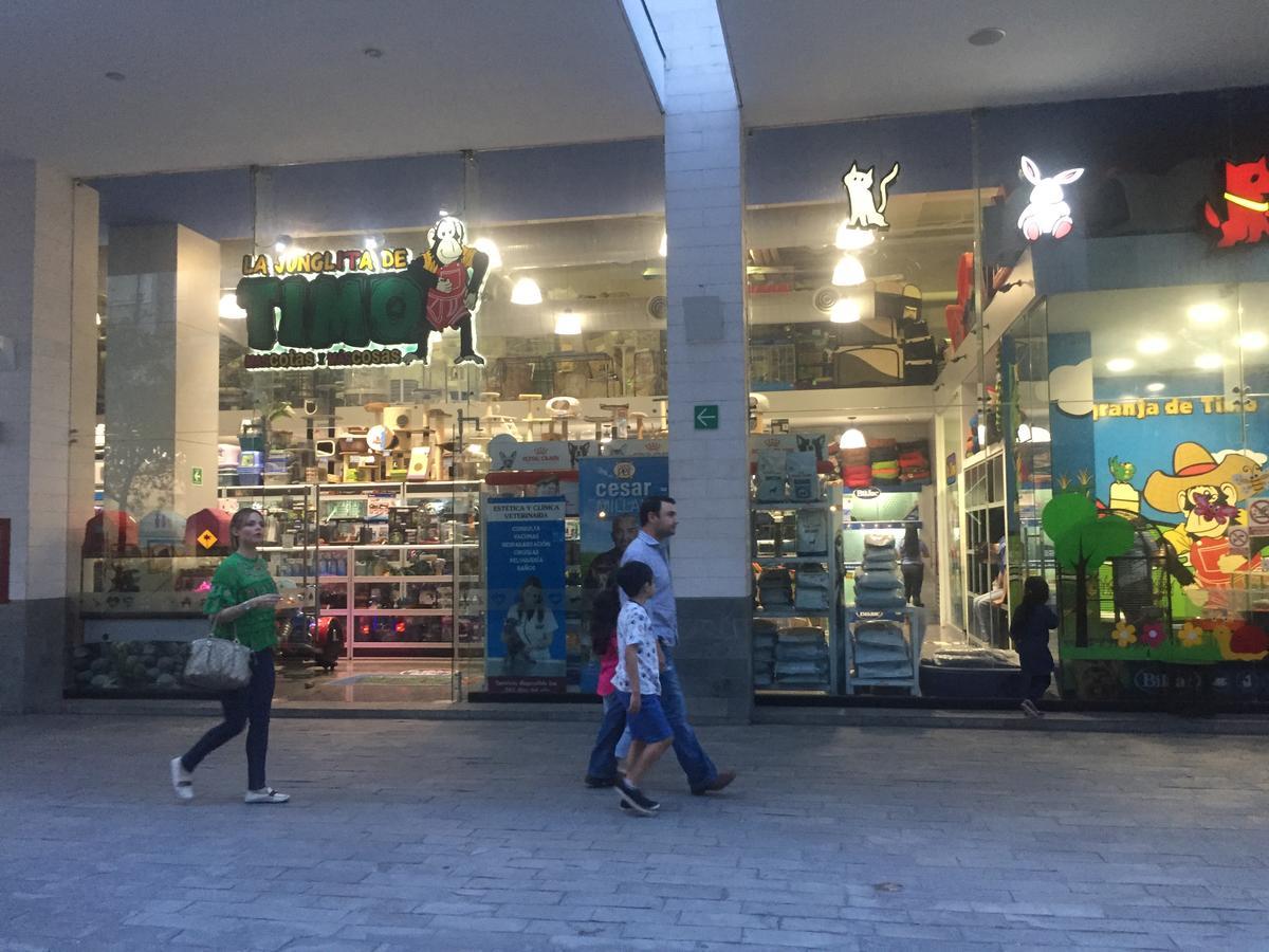 Living Apto Nuevo Sur 313 Monterrey